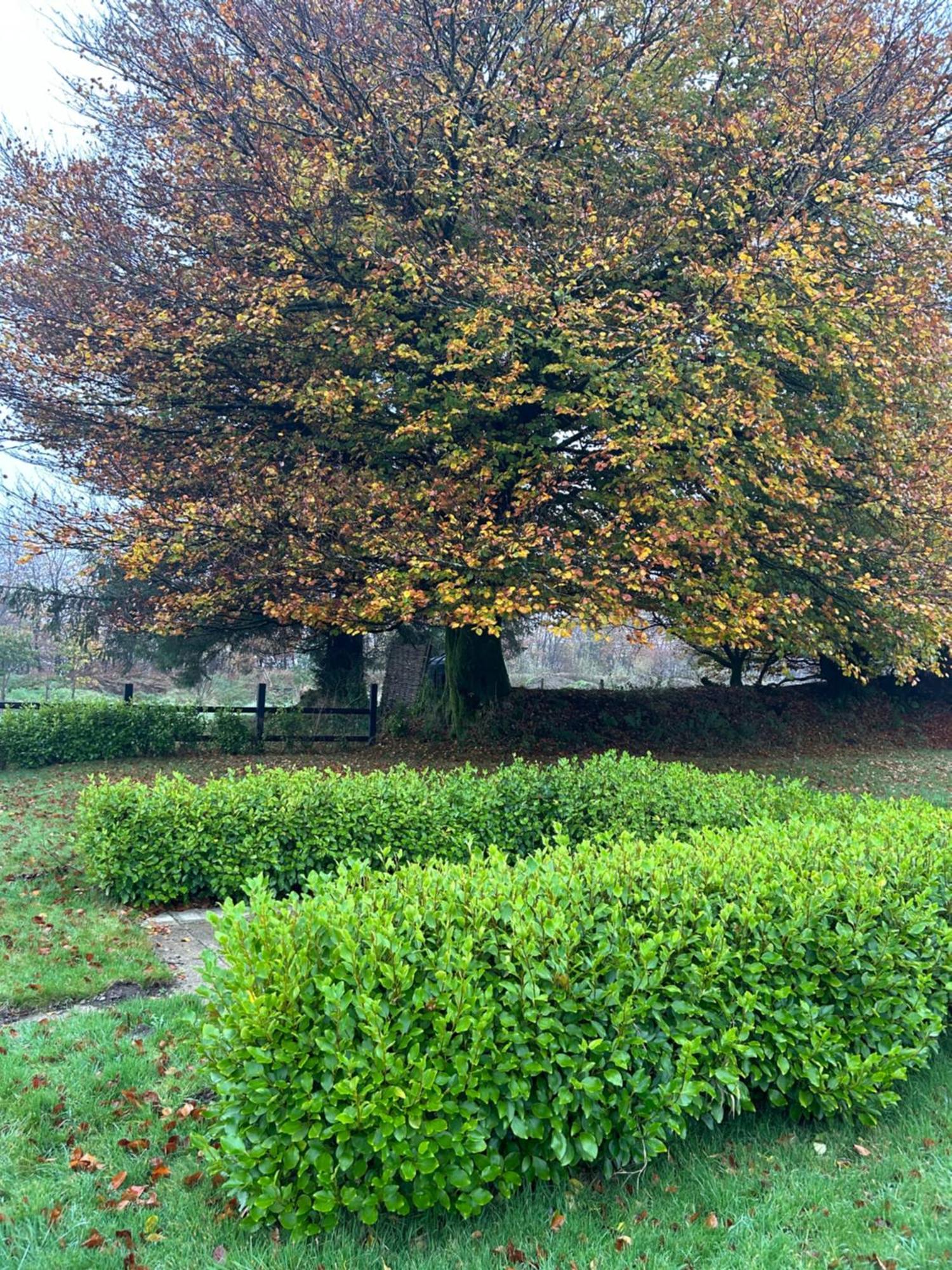 Winstitchen Cottage Simonsbath Exterior foto